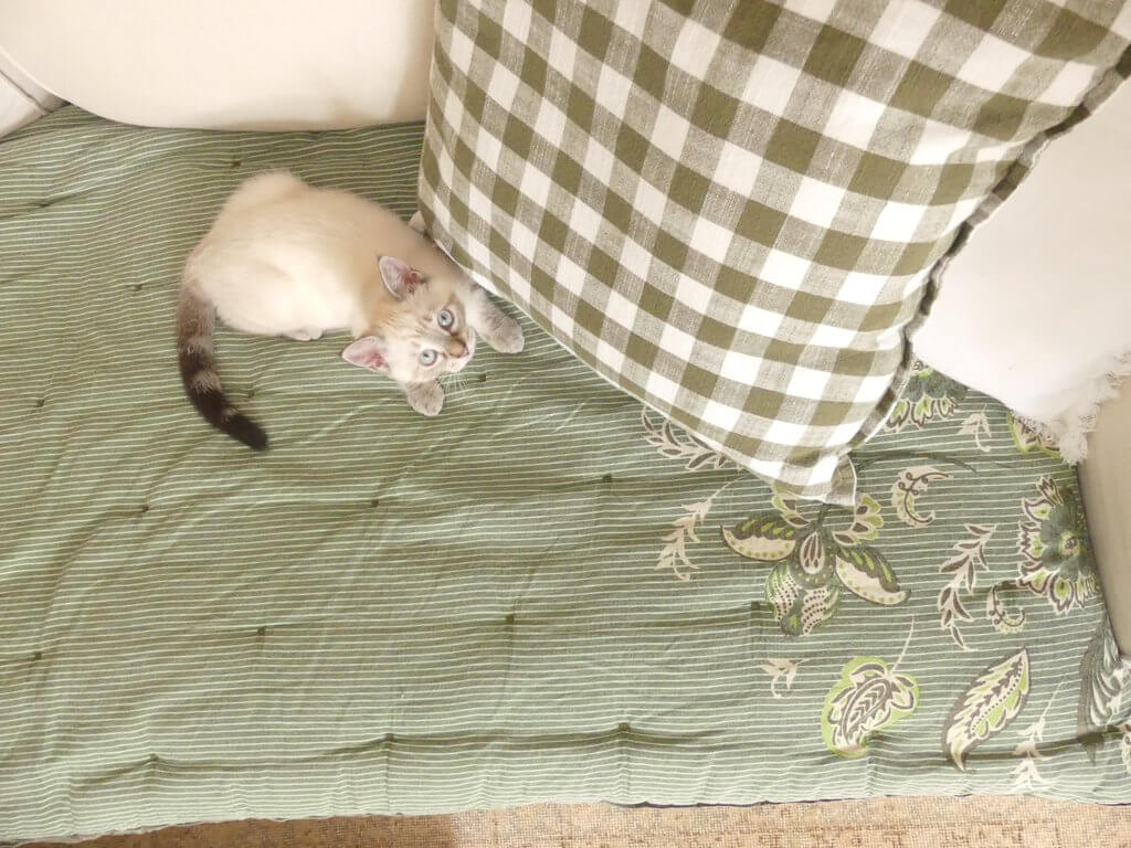 Comment superposer les textiles avec HomeMaison et un code promo exclusif HM-MARIE