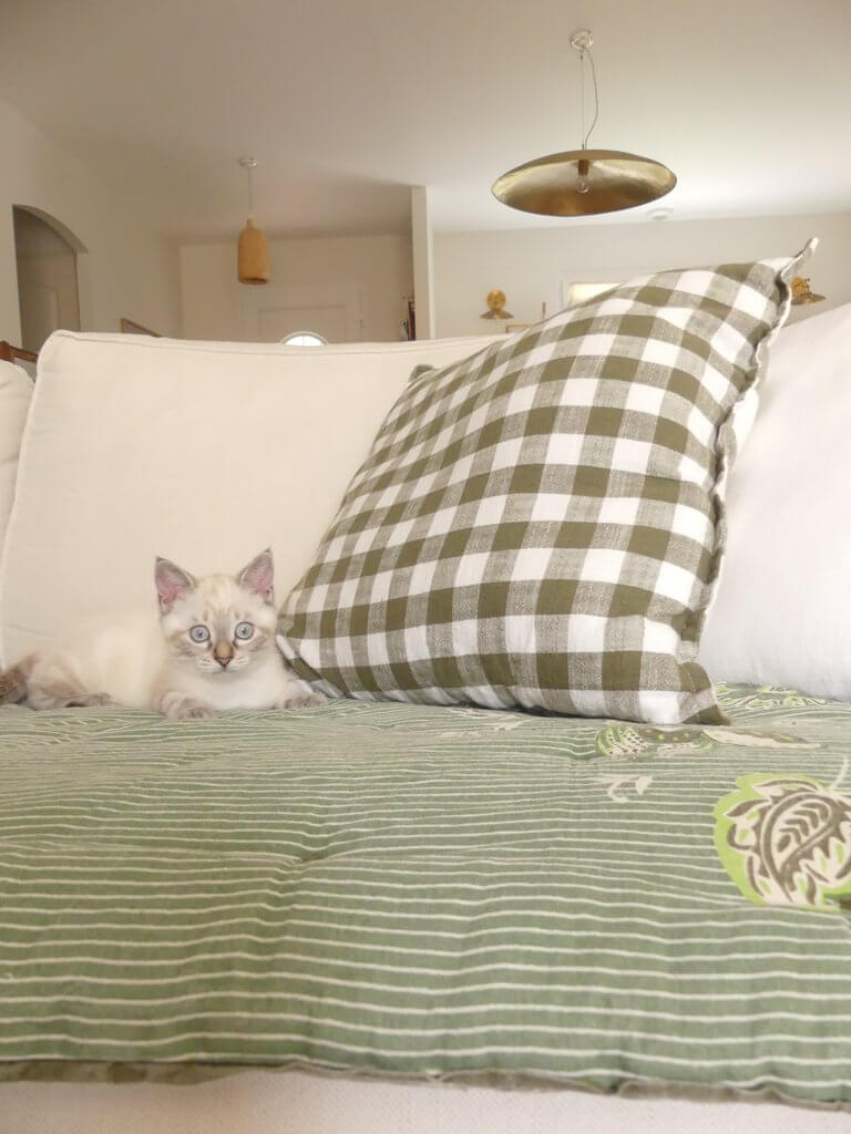 Comment superposer les textiles avec HomeMaison et un code promo exclusif HM-MARIE